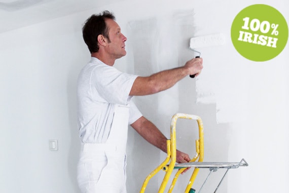 Painter and Decorator Palmerstown